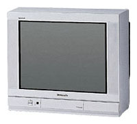 Panasonic TX-29P20T